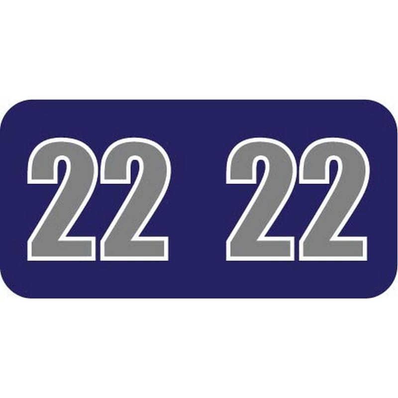 POS Compatible "22" Yearband Labels, 1-1/2" X 3/4" - 500 per Roll