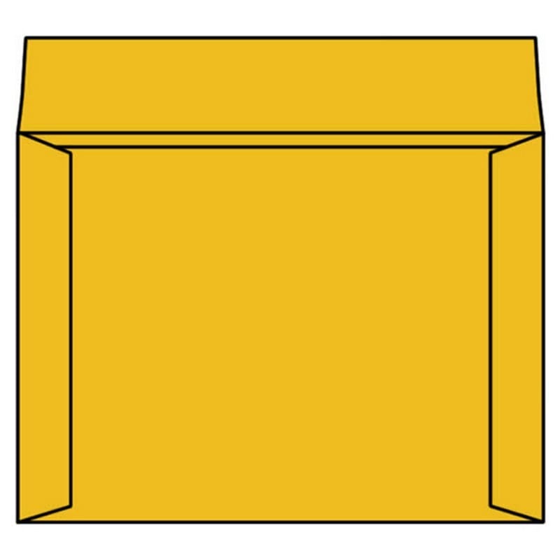 Open Side Negative File Envelope