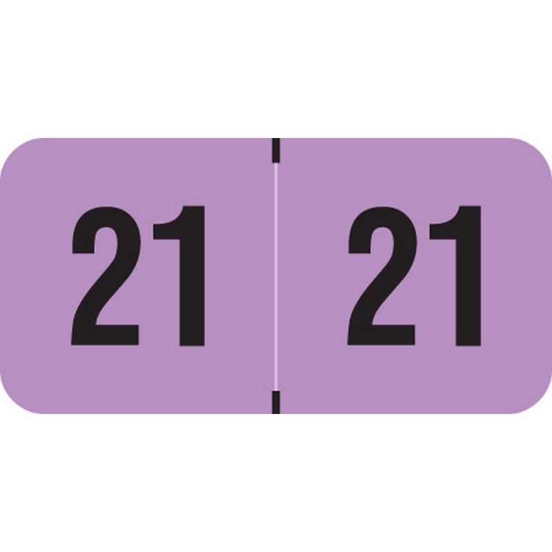 Reynolds & Reynolds Compatible "21" Yearband Labels, 1-1/2" X 3/4" - 500 per Roll