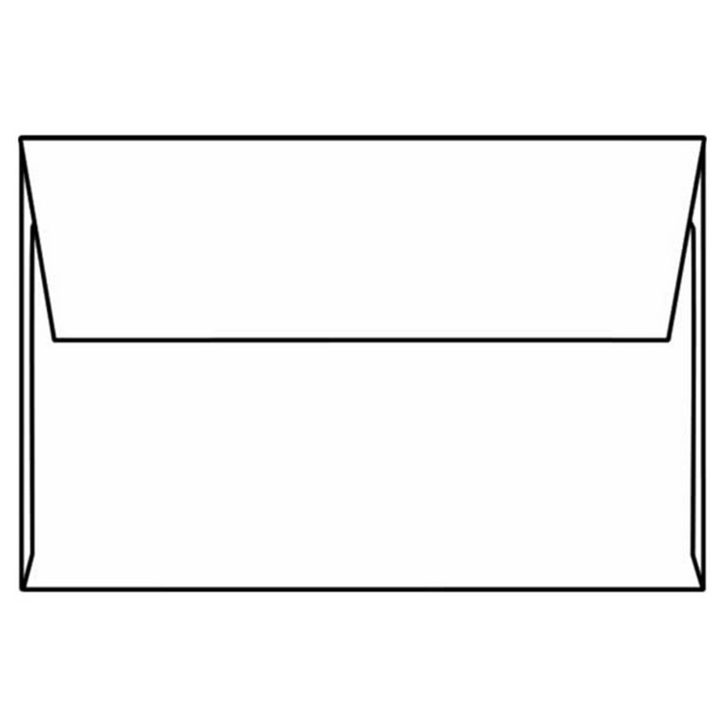 Real Estate Envelopes