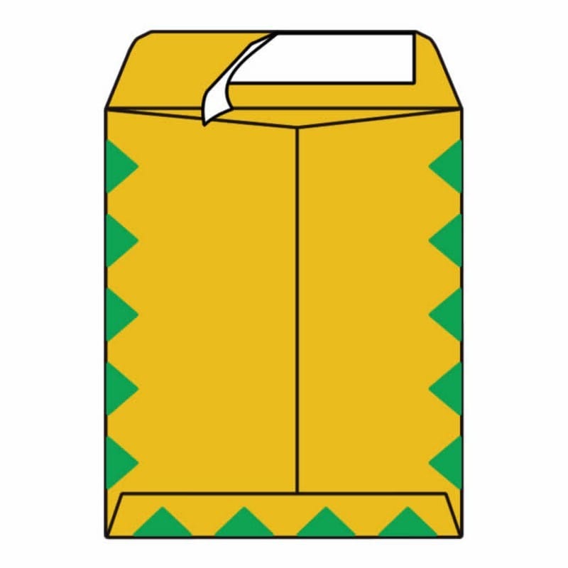 Open End First Class Catalog Envelopes, 10" x 13", 28#, Green Diamond Border, "First Class Mail" on Face, Pressure Sensitive Seal (Box