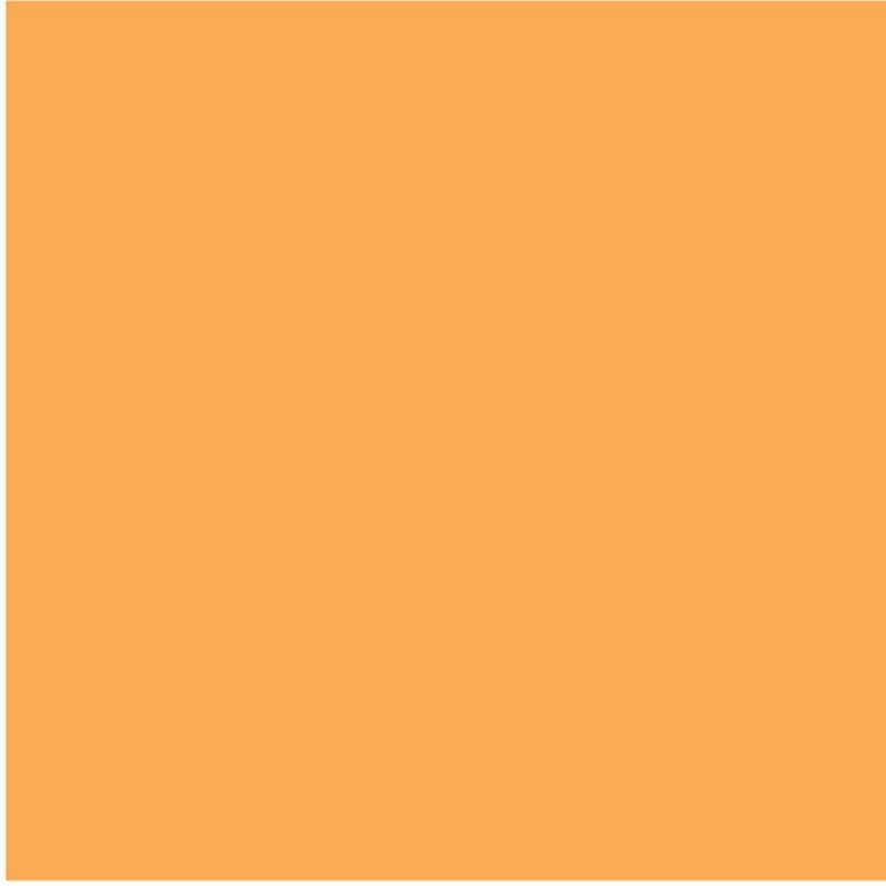 Ames Compatible Solid Orange Labels, Laminated Stock, 1-7/8" X 1-7/8" Individual Colors - Roll of 500 - Image 2
