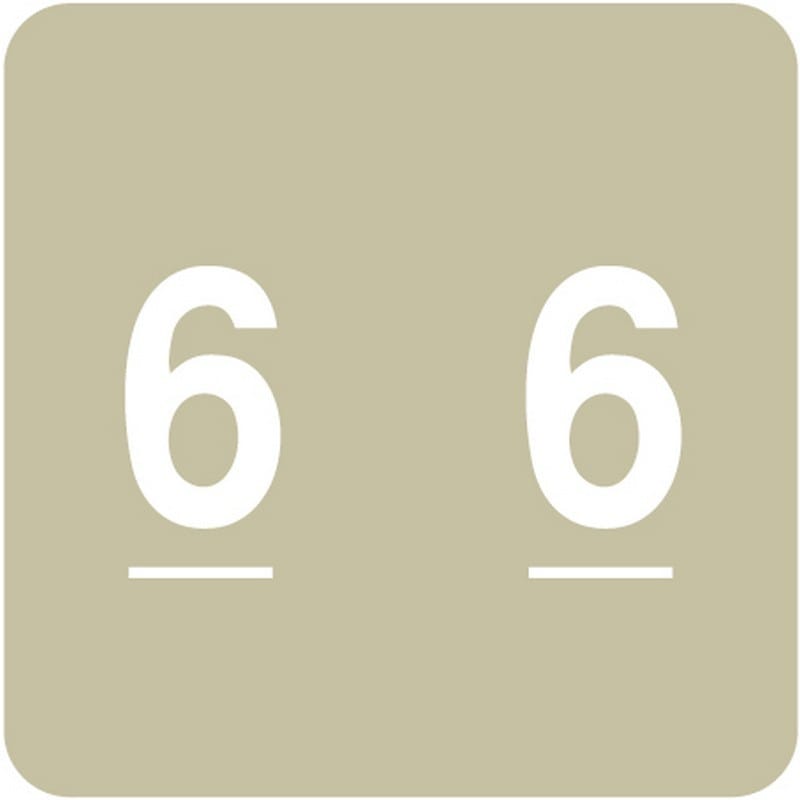 Acme Compatible "6" Numeric Labels, Laminated Stock, 1-1/2" X 1-1/2" Individual Numbers - Roll of 500
