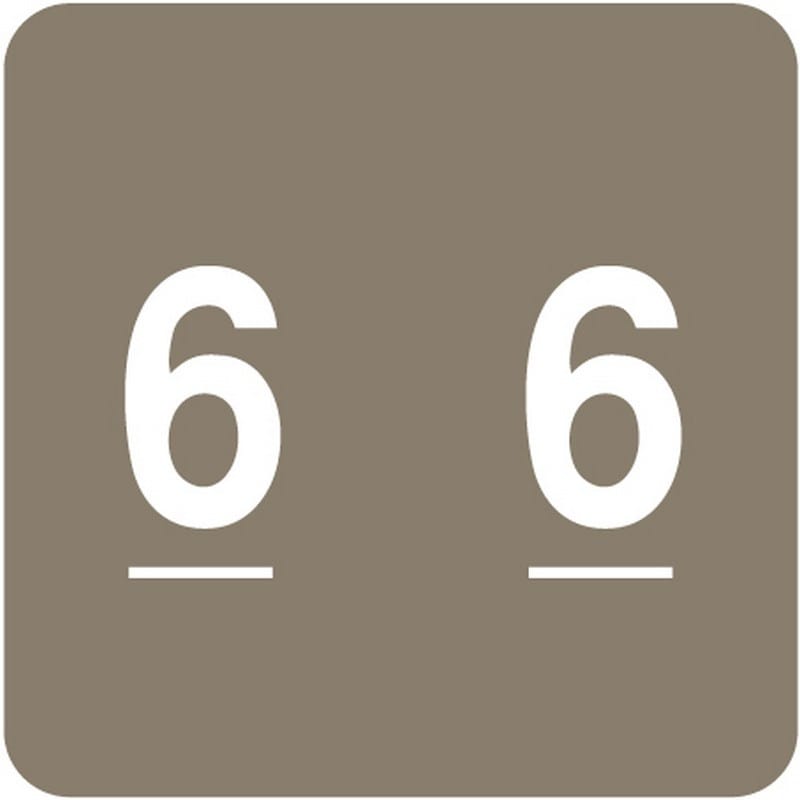 Data Visible Acme Compatible "6" Numeric Labels, Laminated Stock, 1-1/2" X 1-1/2" Individual Numbers - Roll of 500