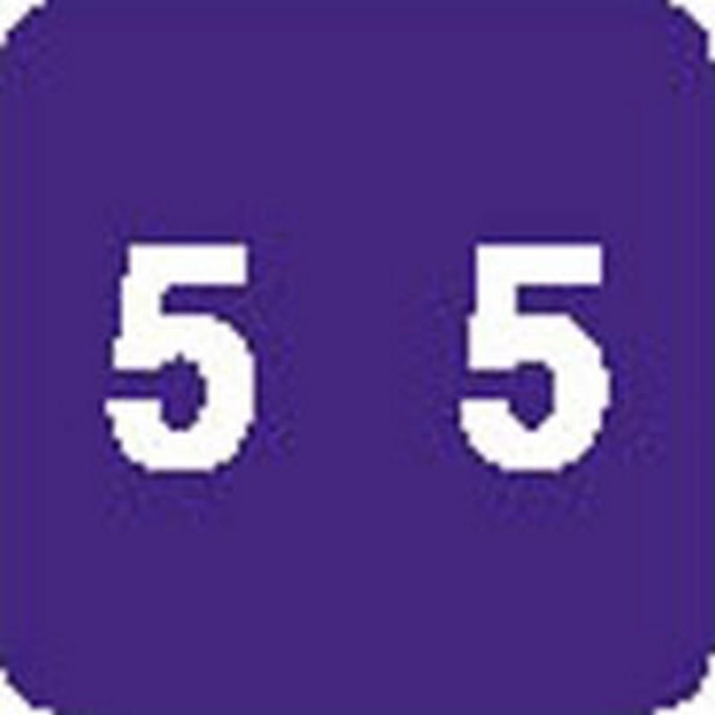 Sav-Tyme 1700 Compatible Numeric "5" Labels, Laminated Stock, 1-1/2" X 1-1/2" Individual Numbers - Roll of 500