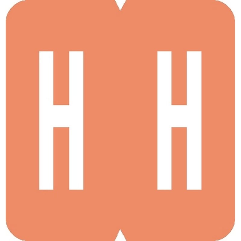 GBS Compatible "H" Labels, Laminated Stock, 1-5/16" X 1-1/4" Individual Letters - Pack of 200 - Image 2