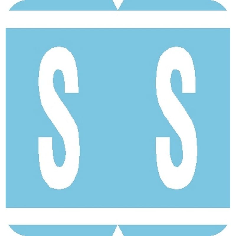 GBS Compatible "S" Labels, Laminated Stock, 1-5/16" X 1-1/4" Individual Letters - Pack of 200 - Image 2