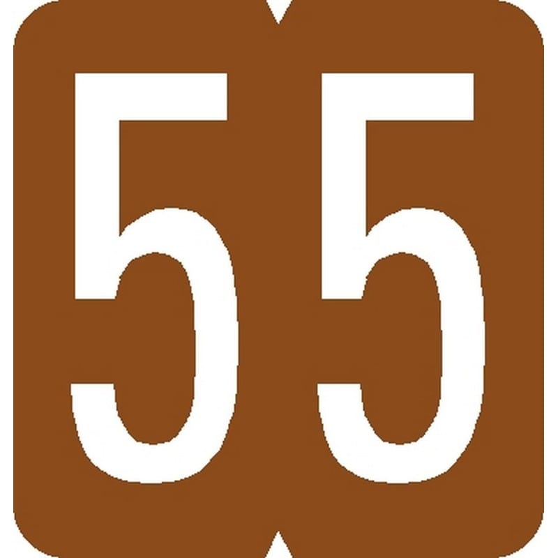 GBS Compatible Numeric "5" Labels, Laminated Stock, 1-5/16" X 1-1/4" Individual Numbers - Roll of 500