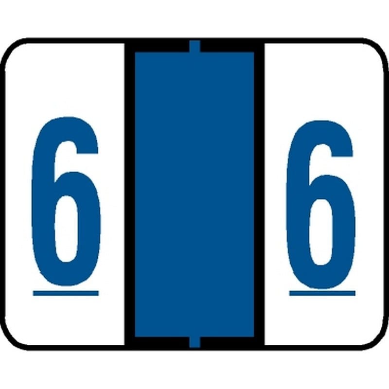 Jeter 6100 Compatible Numeric "6" Labels, Laminated Stock, 15/16" X 1-5/8" Individual Numbers - Roll of 500