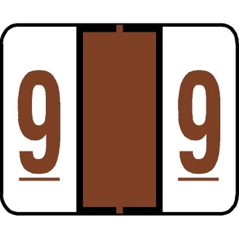 Jeter 6100 Compatible Numeric "9" Labels, Laminated Stock, 15/16" X 1-5/8" Individual Numbers - Roll of 500