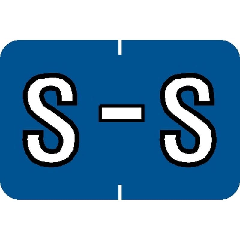 Barkley ABKM Compatible "S" Labels, Laminated Stock, 1" X 1-1/2" Individual Letters - Pack of 225