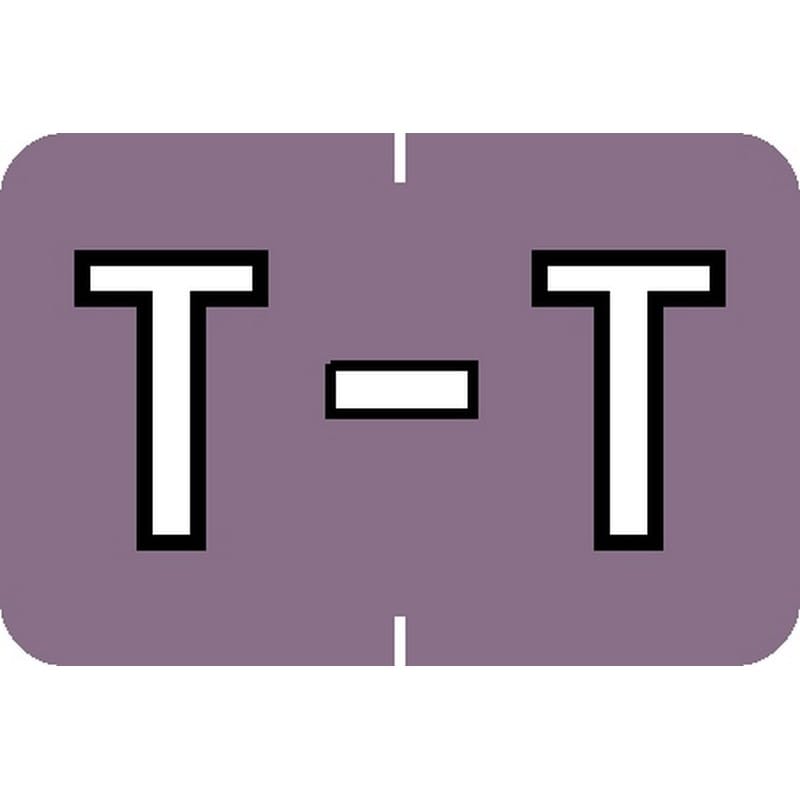Barkley ABKM Compatible "T" Labels, Laminated Stock, 1" X 1-1/2" Individual Letters - Pack of 225