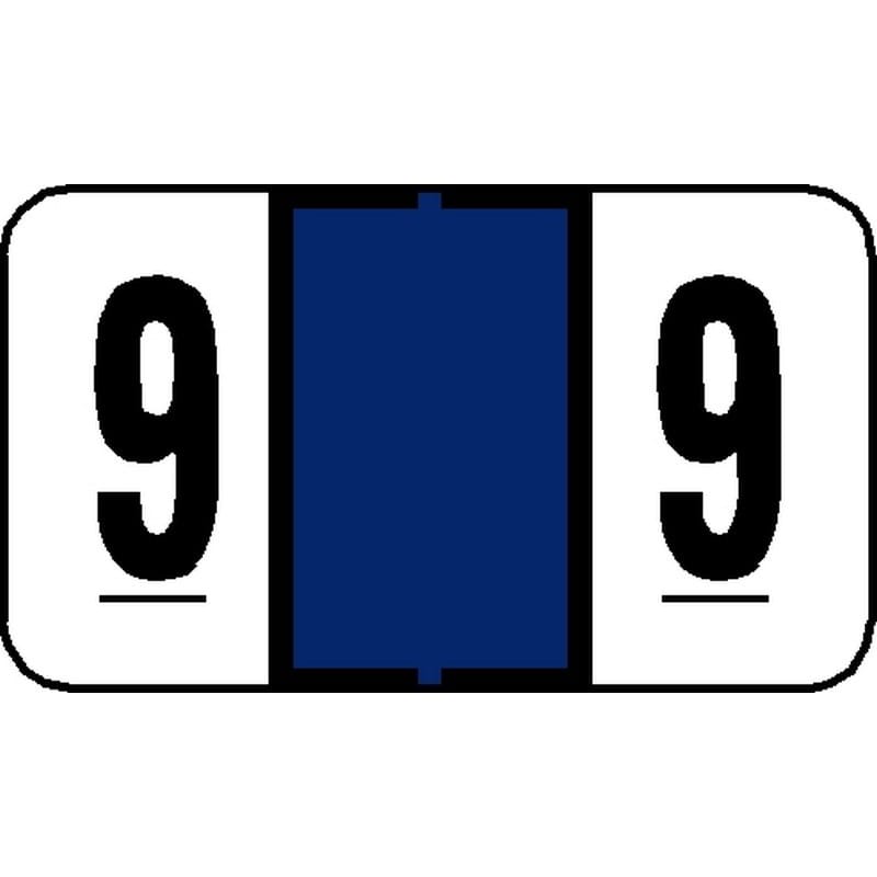 Tab 7300 Compatible Numeric "9" Labels, Laminated Stock, 15/16" X 1-5/8" Individual Numbers - Pack of 240