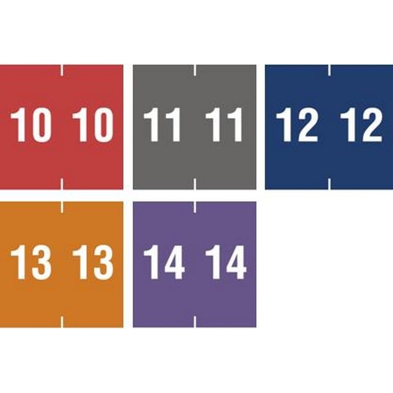 Ames Compatible Yearband Labels, 1-7/8" X 1-7/8" Roll of 500