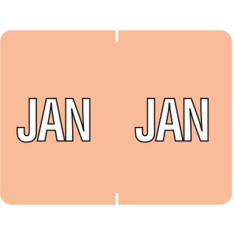 Data File Compatible "Jan" Month Labels, Laminated Stock, 15/16" X 1-1/4", Individual Months - Pack of 256