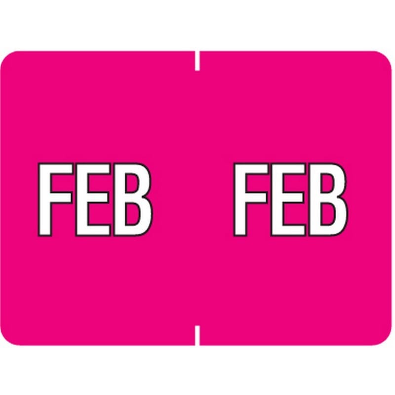 Data File Compatible "Feb" Month Labels, Laminated Stock, 15/16" X 1-1/4", Individual Months - Pack of 256