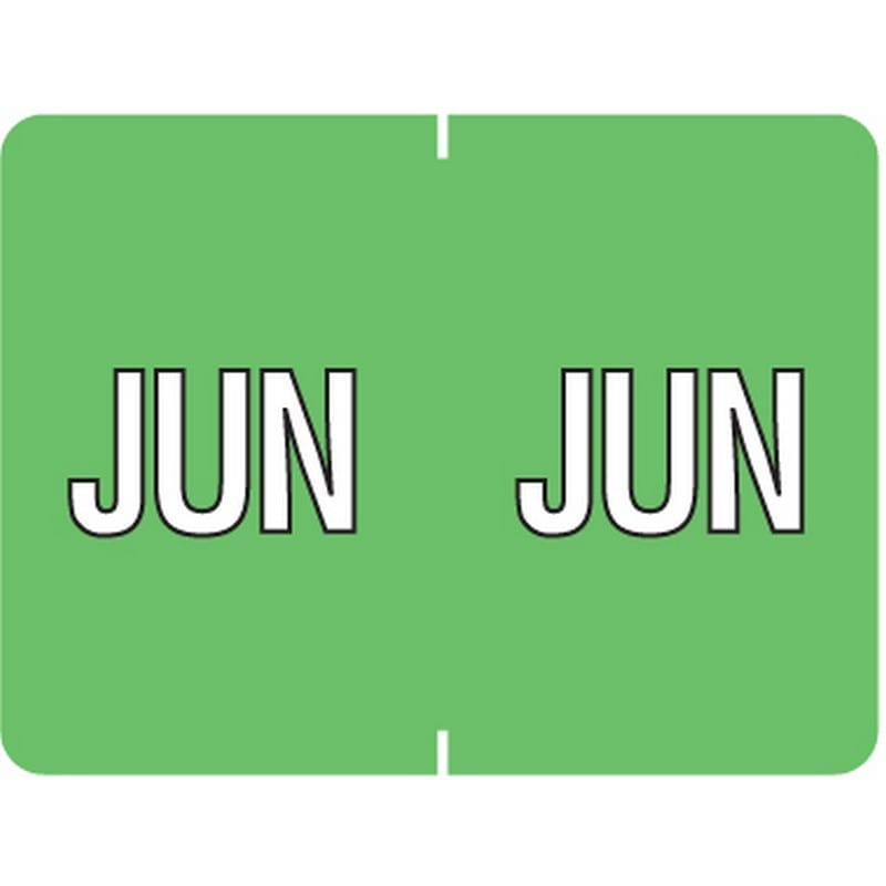 Data File Compatible "Jun" Month Labels, Laminated Stock, 15/16" X 1-1/4", Individual Months - Pack of 256