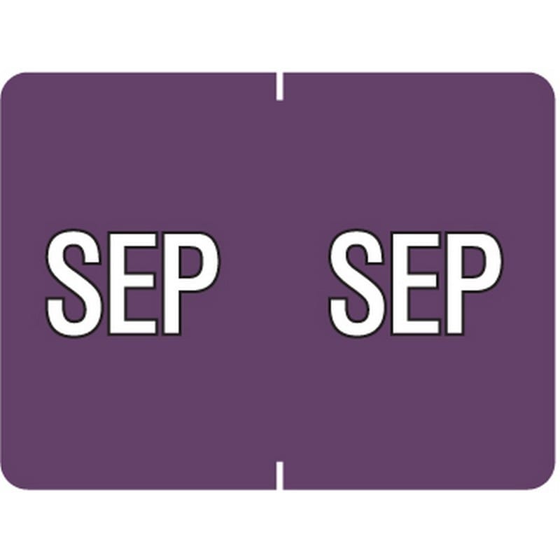 Data File Compatible "Sep" Month Labels, Laminated Stock, 15/16" X 1-1/4", Individual Months - Pack of 256 - Image 2