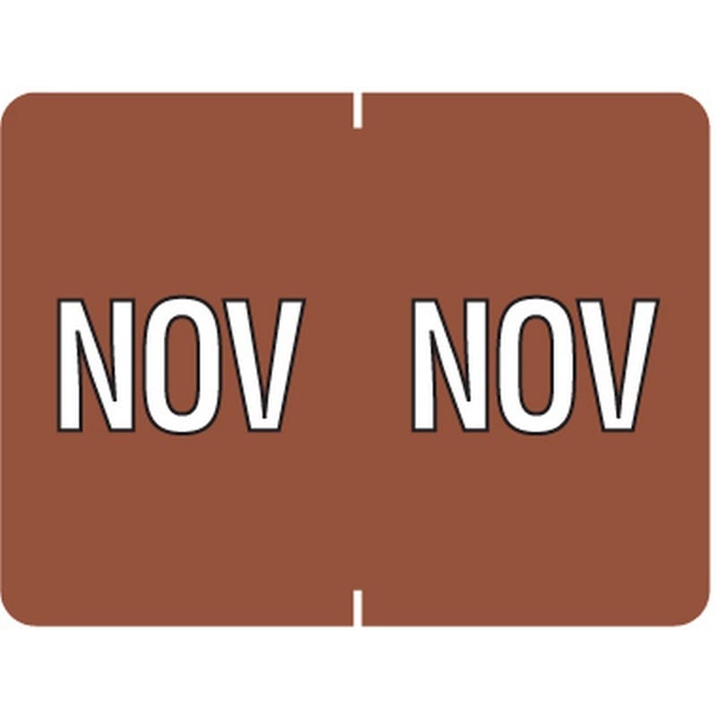 Data File Compatible "Nov" Month Labels, Laminated Stock, 15/16" X 1-1/4", Individual Months - Pack of 256