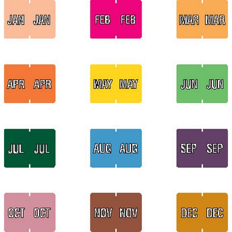 Data File Compatible Month Labels, Laminated Stock, 15/16" X 1-1/4", Individual Months - Pack of 256