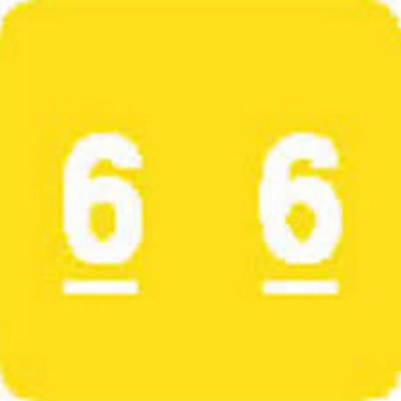 Sav-Tyme MDRL Compatible "6" Numeric Labels, Laminated Stock, 1-1/2" X 1-1/2" Individual Numbers - Roll of 500