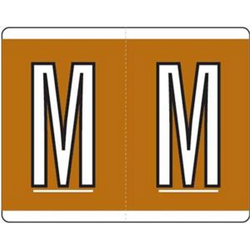 Kardex Compatible "M" Labels, Laminated Stock, 1-1/4" X 1-19/32" Individual Letters - Roll of 500 - Image 2