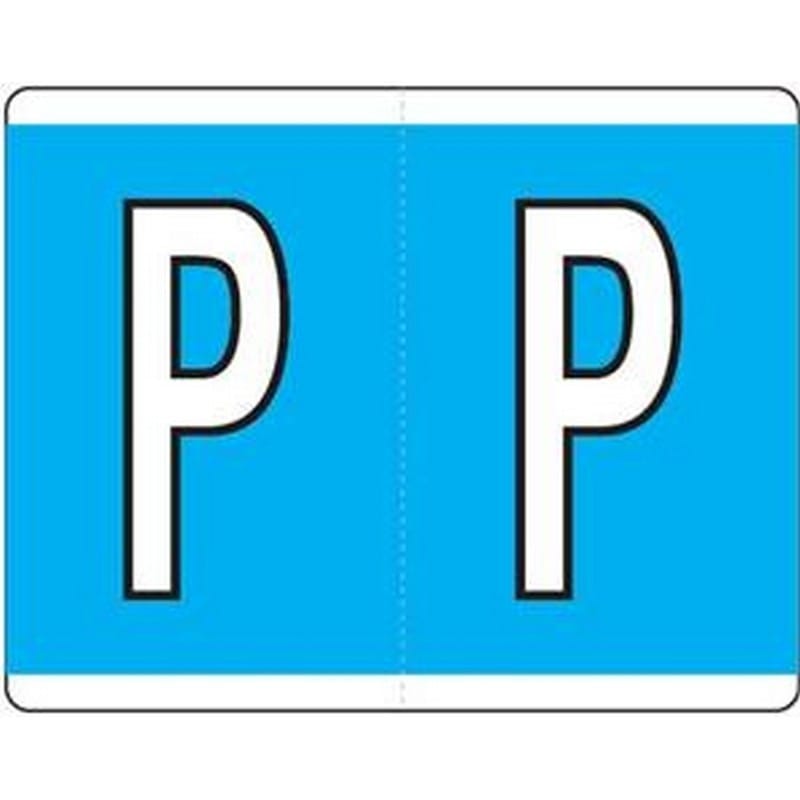Kardex Compatible "P" Labels, Laminated Stock, 1-1/4" X 1-19/32" Individual Letters - Roll of 500 - Image 2