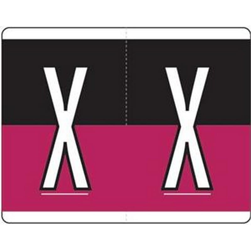 Kardex Compatible "X" Labels, Laminated Stock, 1-1/4" X 1-19/32" Individual Letters - Roll of 500 - Image 2