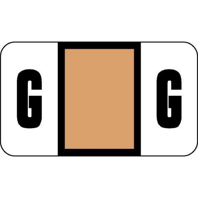 Safeguard Compatible "G" Labels, Laminated Stock, 15/16" X 1-5/8" Individual Letters - Pack of 240