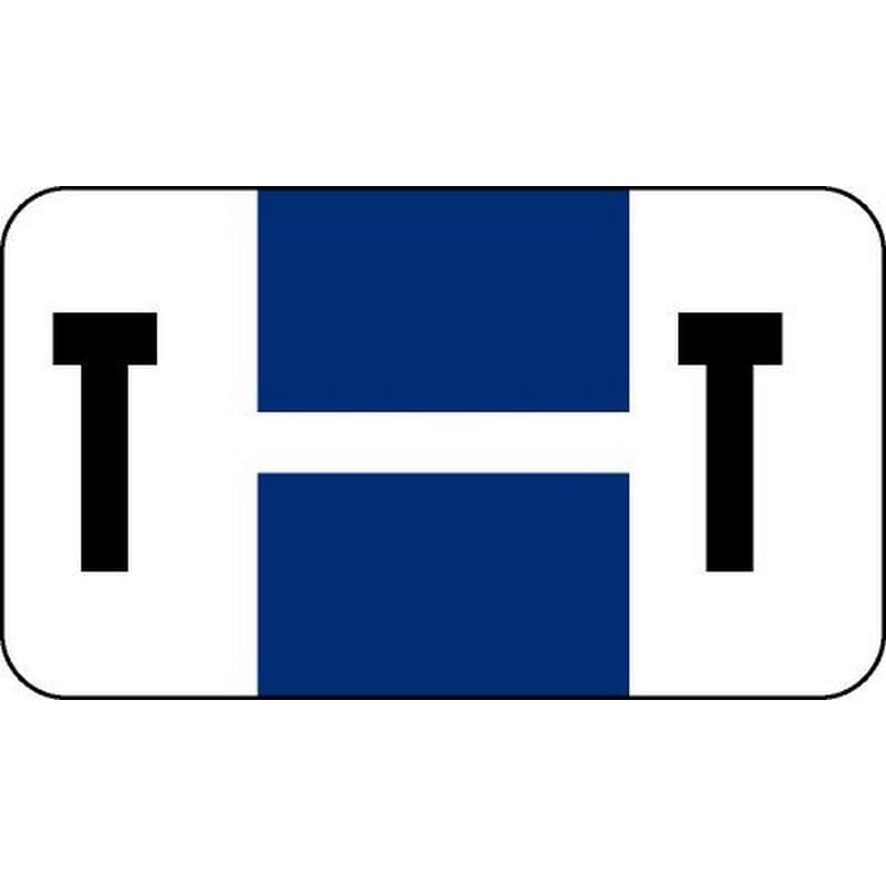 Safeguard Compatible "T" Labels, Laminated Stock, 15/16" X 1-5/8" Individual Letters - Pack of 240