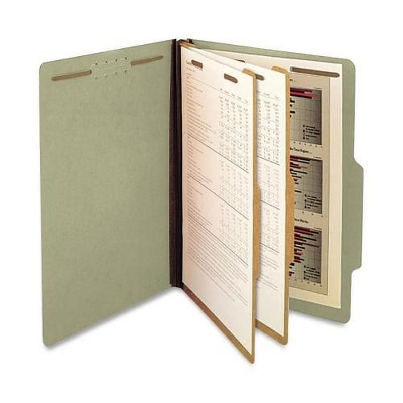 SJ Paper Recycled 2-Divider Classification Folders (SJPS61901)