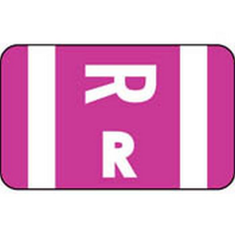 Smead Compatible "R" Labels, Polylaminated Stock, 1" X 1-5/8" Individual Letters - 100 per Pack