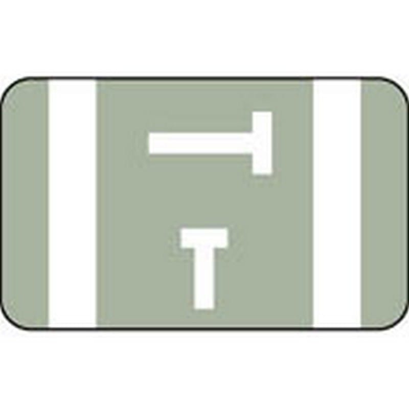Smead Compatible "T" Labels, Polylaminated Stock, 1" X 1-5/8" Individual Letters - 100 per Pack