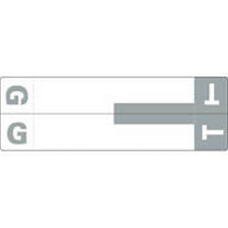 Smead Compatible "GT" Labels, Matte paper Stock, 1-5/32" X 3-5/8" Individual Letters - 100 per Pack