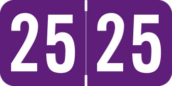 Sav-Tyme Compatible "25" Yearband Labels, Laminated Stock 1-1/2" x 3/4" - 500 per Roll
