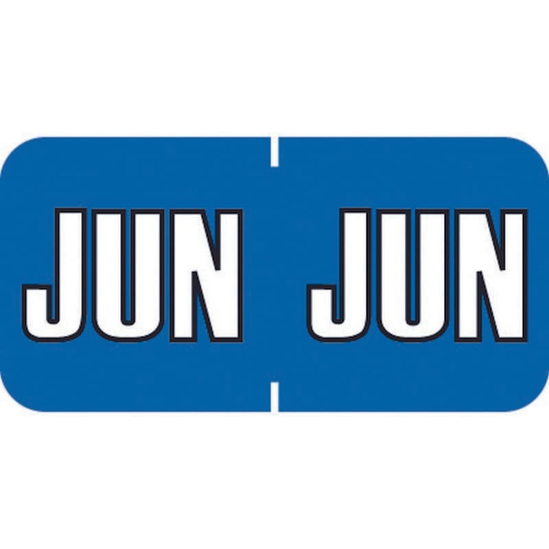 Sycom SYET Compatible "Jun" Month Labels, Laminated Stock,1-1/2" x 3/4", Individual Months - Pack of 252