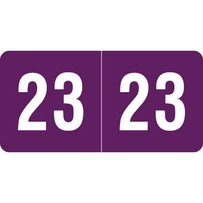 Smead Compatible "2023" Yearband Labels, Laminated Stock 1" x 1/2"- Pack of 250