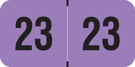 Traco Compatible "23" Yearband Labels, Laminated Stock 1-1/2" x 3/4" - 500 per Roll