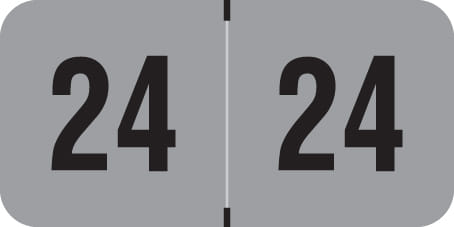 Traco Compatible "24" Yearband Labels, Laminated Stock 1-1/2" x 3/4" - 500 per Roll