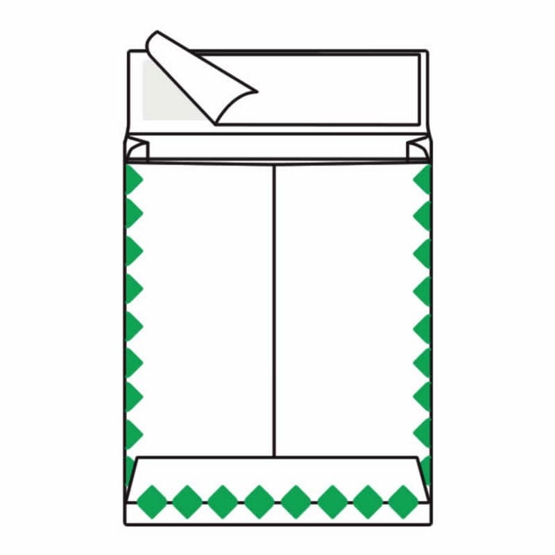 Open End First Class Expansion Tyvek Catalog Envelopes, 10" x 13", 18#, 'First Class Mail' on Face and Flap (Box of 100) - Image 2