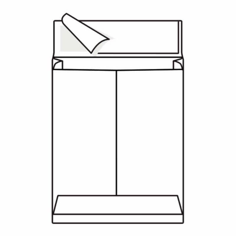 Open End Expansion Tyvek Catalog Envelopes, 10" x 13" 18# Bright White, Lightweight, Peel & Seal (Box of 100)