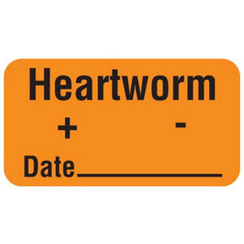Heartworm + - Date 1-5/8" x 7/8" Fl-Orange Label (Roll of 560)