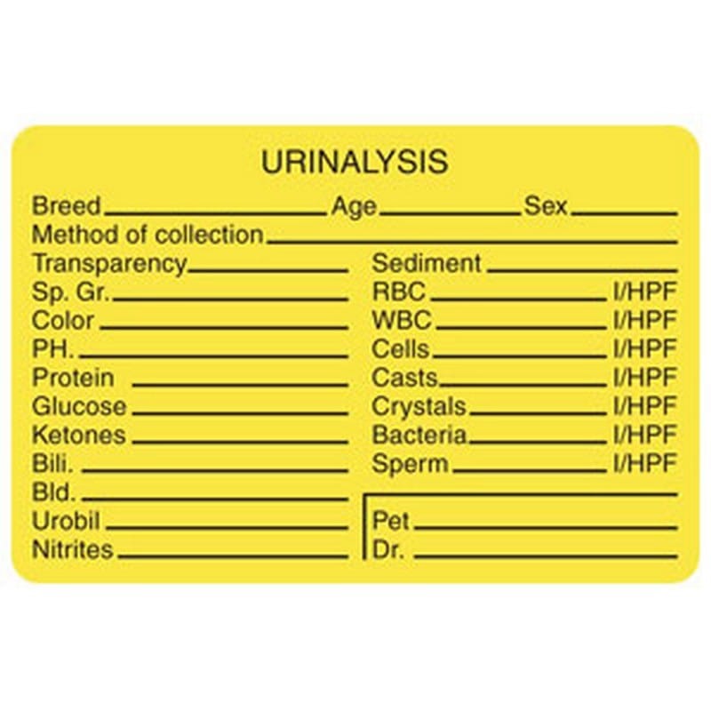 Urinalysis Breed/Age/Sex 3" x 2" Fl-Yellow Label (Roll of 320) - Image 2