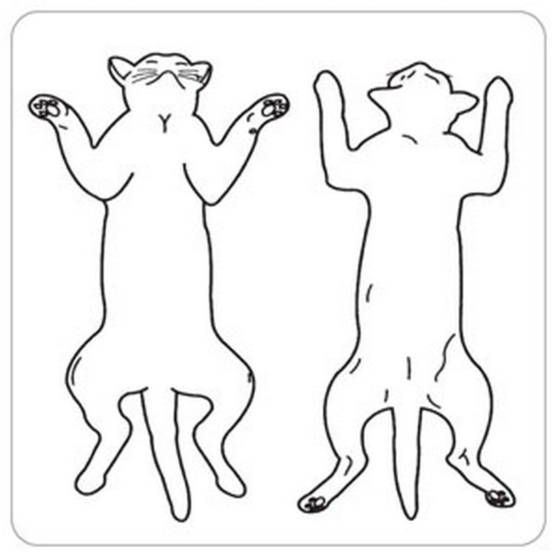 Feline Pic. Front/Back 2-1/2" x 2-1/2" White Label (Roll of 320)