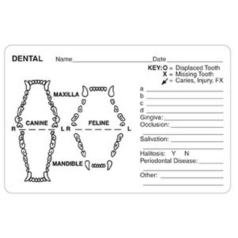 Dental Grid Canine/Feline 4" x 2-5/8" White Label (Roll of 240) - Image 2