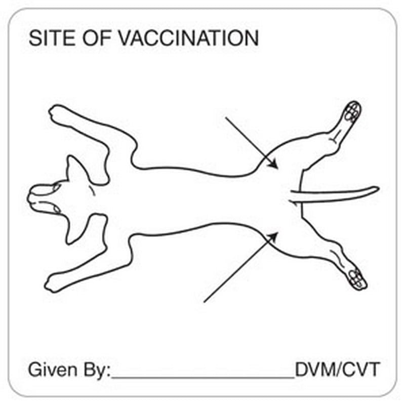 Vaccination Canine 2-1/2" x 2-1/2" White Label (Roll of 320) - Image 2