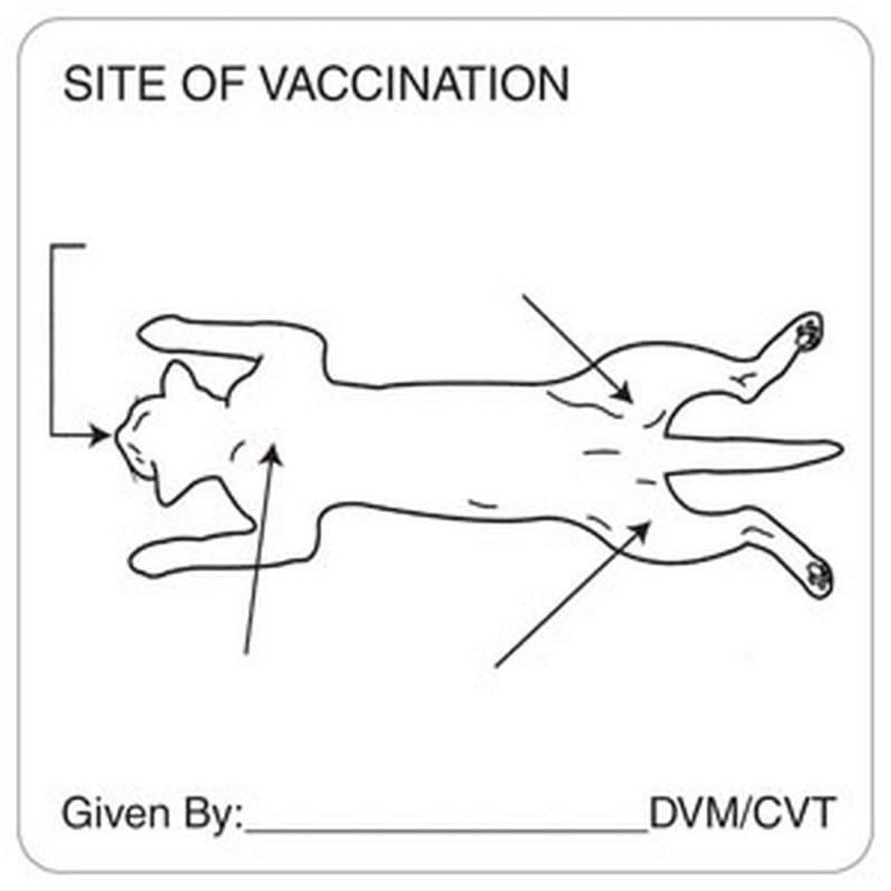 Vaccination Feline 2-1/2" x 2-1/2" White Label (Roll of 320) - Image 2
