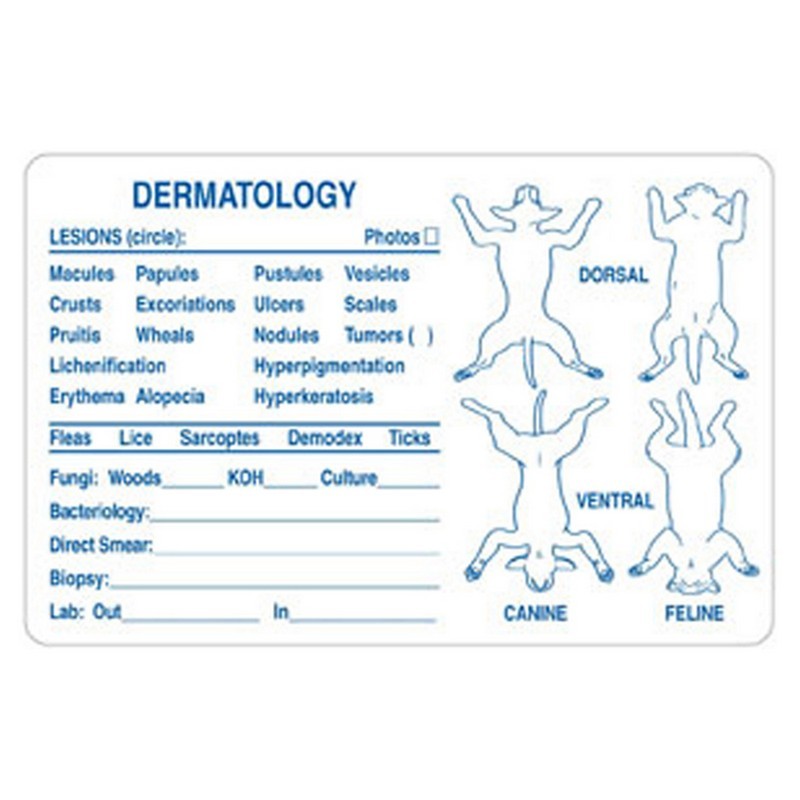 Veterinary Filing Labels