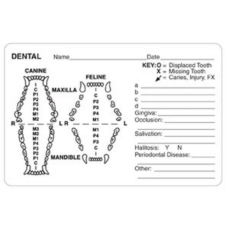 Dental Grid Canine/Feline 4" x 2-5/8" White Label (Roll of 240)