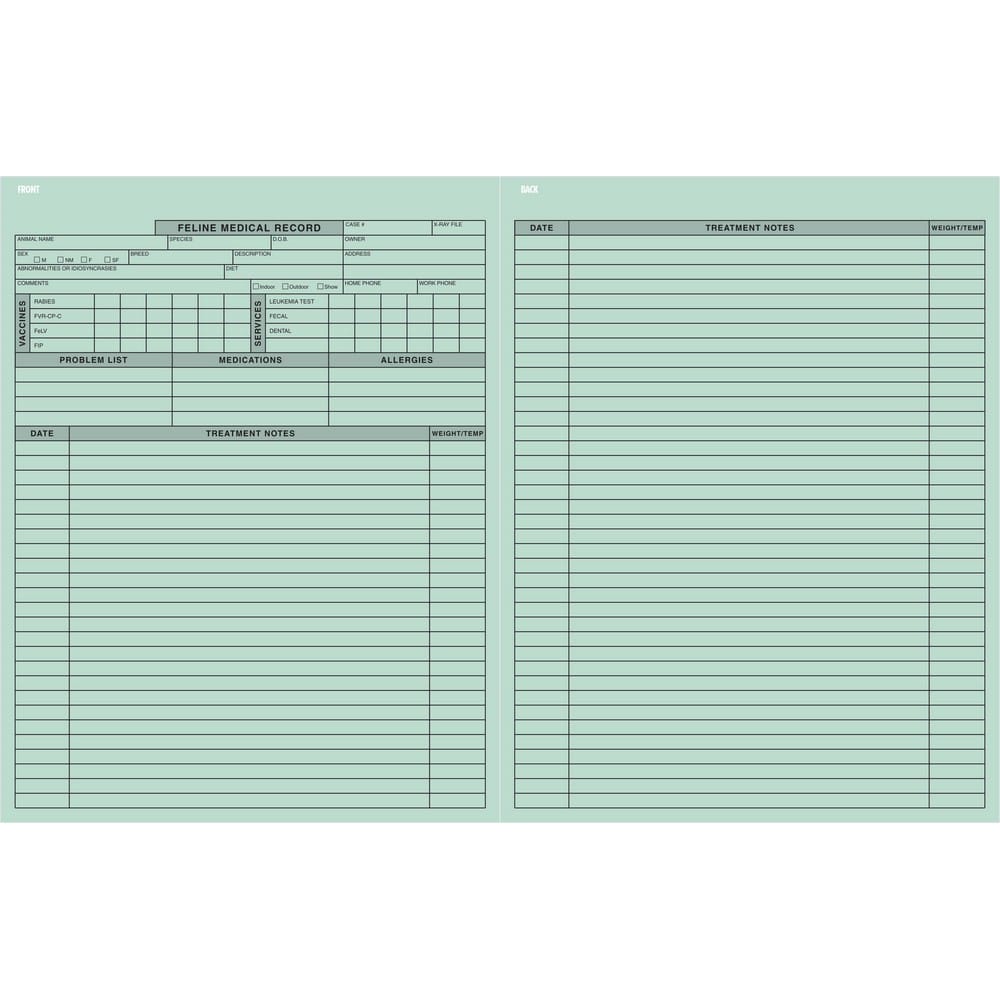 Pet Medical Record Form - Feline, Green 8-1/2" x 11" (Pkg of 250) - Image 2